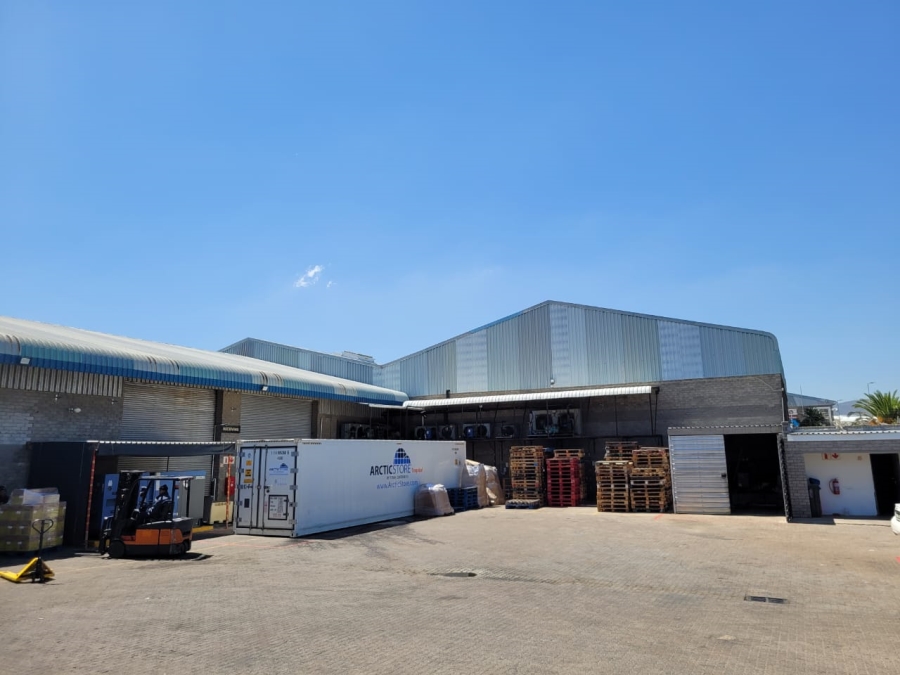 To Let commercial Property for Rent in Killarney Gardens Western Cape